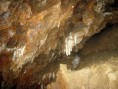 /album/mahrischer-karst/img-3036-jpg/